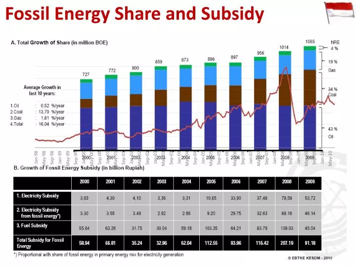 fossil energy share and subsidy