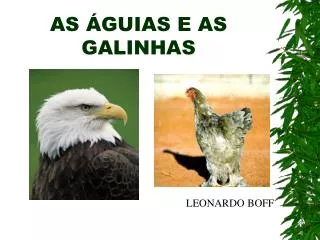 as guias e as galinhas