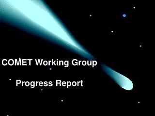 COMET Working Group Progress Report