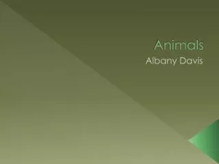 animals