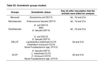 Table S2: Gnotobiotic groups studied.