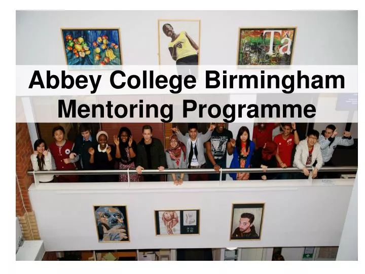 abbey college birmingham mentoring programme