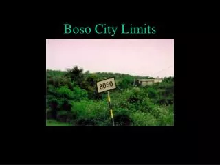 Boso City Limits