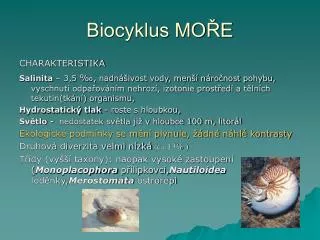 biocyklus mo e