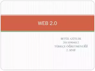web 2 0