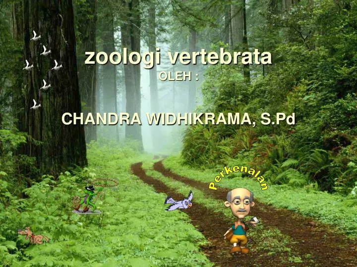 zoologi vertebrata oleh chandra widhikrama s pd