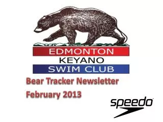 Bear Tracker Newsletter February 2013