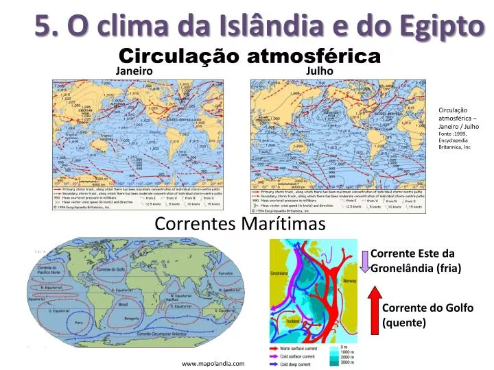 Tipos de vegetação da América Anglo-Saxônica - Brasil Escola