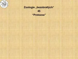 zoologie bezobratl ch 45 protozoa