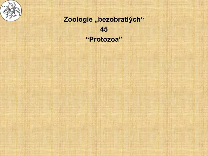 zoologie bezobratl ch 45 protozoa