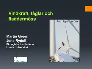 vindkraft f glar och fladderm ss