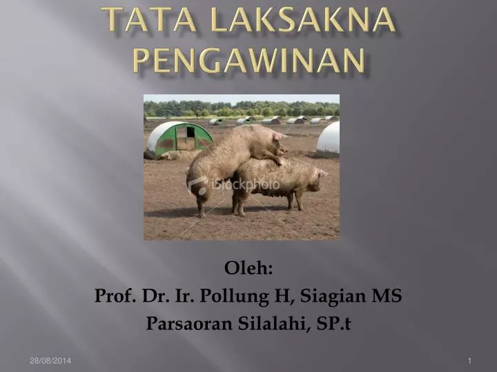 tata laksakna pengawinan