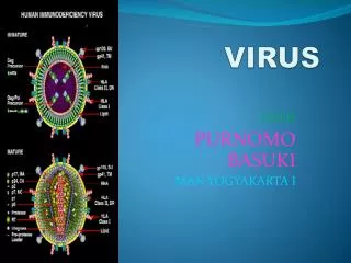 virus