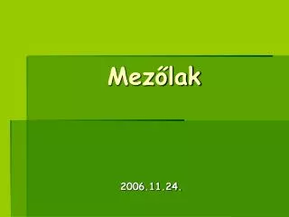 mez lak