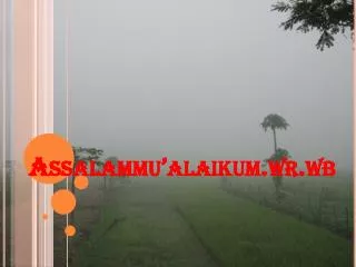 assalammu alaikum wr wb