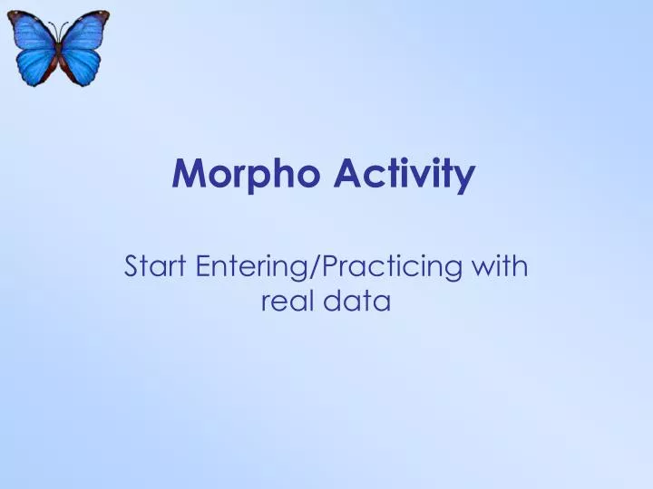 morpho activity