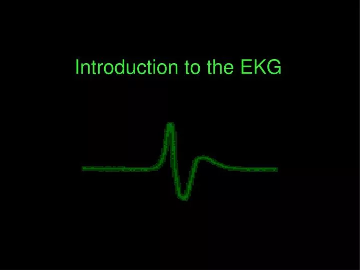 introduction to the ekg