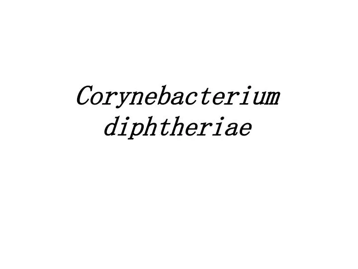 corynebacterium diphtheriae