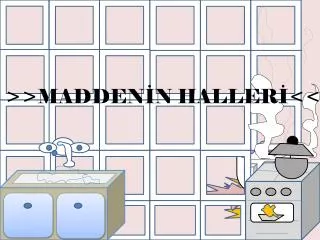 madden n haller