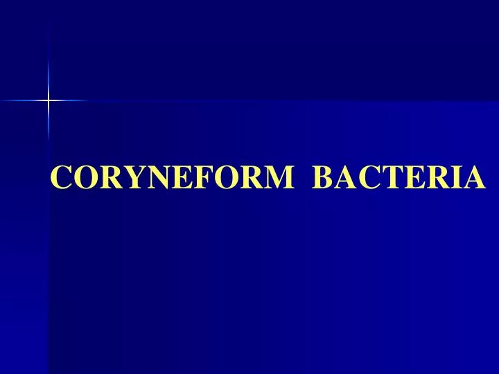 coryneform bacteria