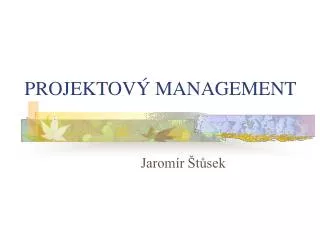 projektov management