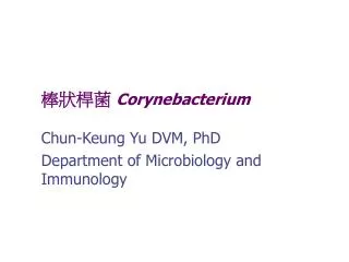corynebacterium
