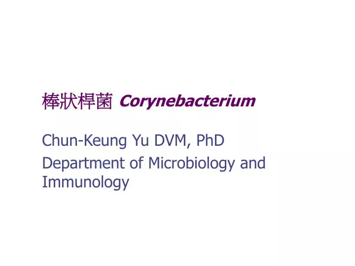 corynebacterium
