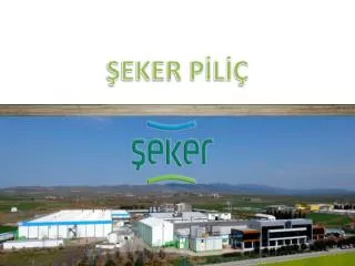 eker p l