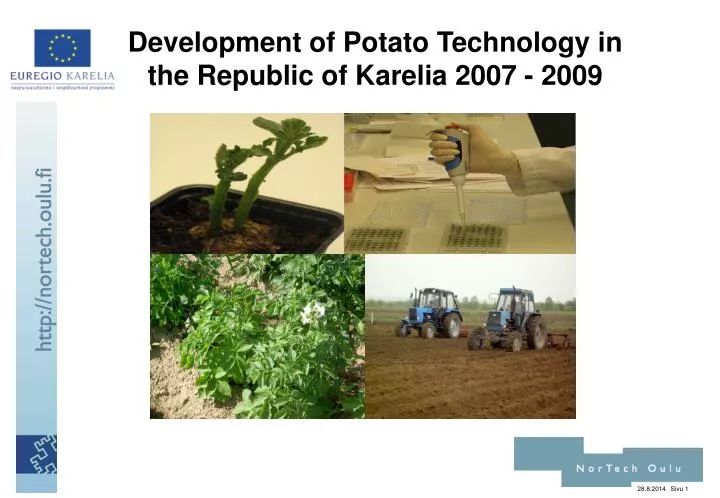 development of potato technology in the republic of karelia 2007 2009
