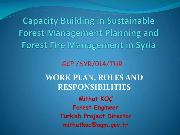 capacity building in sustainable forest management planning and forest fire management in syria