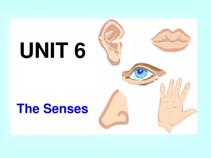 unit 6 the senses