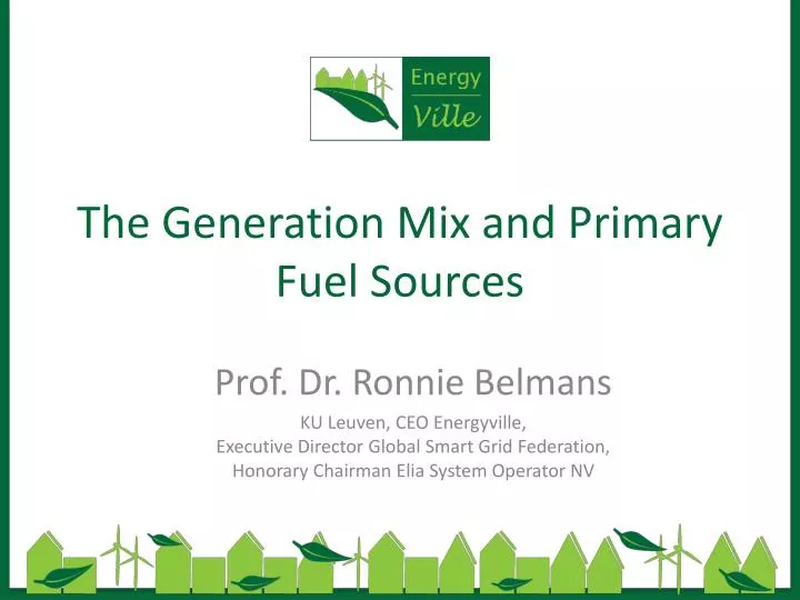 the generation mix and primary fuel sources