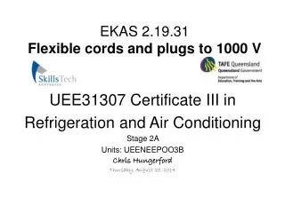 EKAS 2.19.31 Flexible cords and plugs to 1000 V