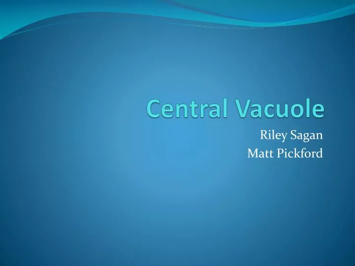 central vacuole