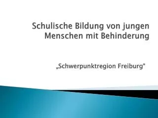 schulische bildung von jungen menschen mit behinderung