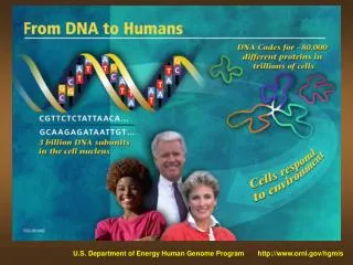 U.S. Department of Energy Human Genome Program ornl/hgmis