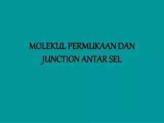 molekul permukaan dan junction antar sel