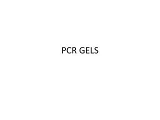 PCR GELS