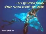 פסולת (פלסטיק) בים – סכנה לים ולחופים ברחבי העולם - slide 1