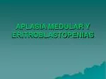 APLASIA MEDULAR Y ERITROBLASTOPENIAS - slide 1