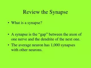 Review the Synapse