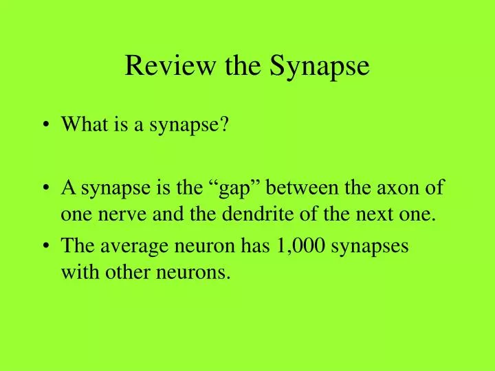 review the synapse