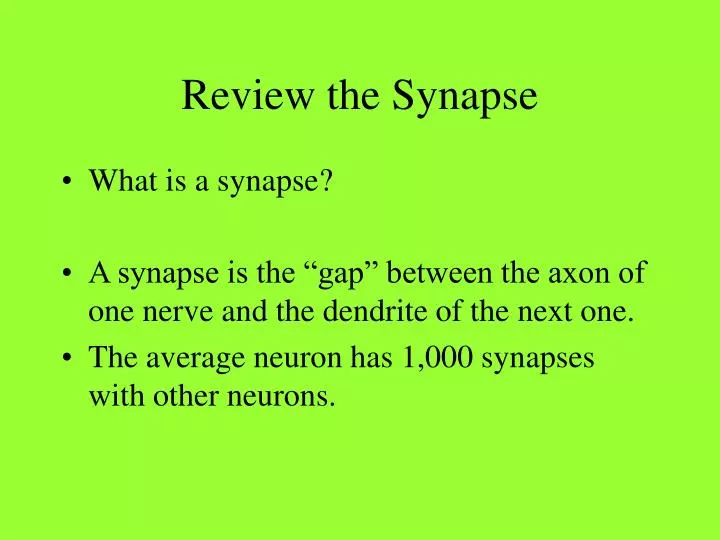 Synapse - Download & Review