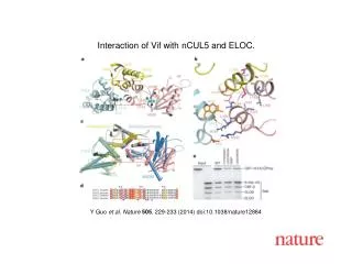 Y Guo et al. Nature 505 , 229-233 (2014) doi:10.1038/nature12884