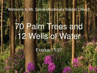 Welcome to Mt. Sylvia Missionary Baptist Church 70 Palm Trees and 12 Wells of Water