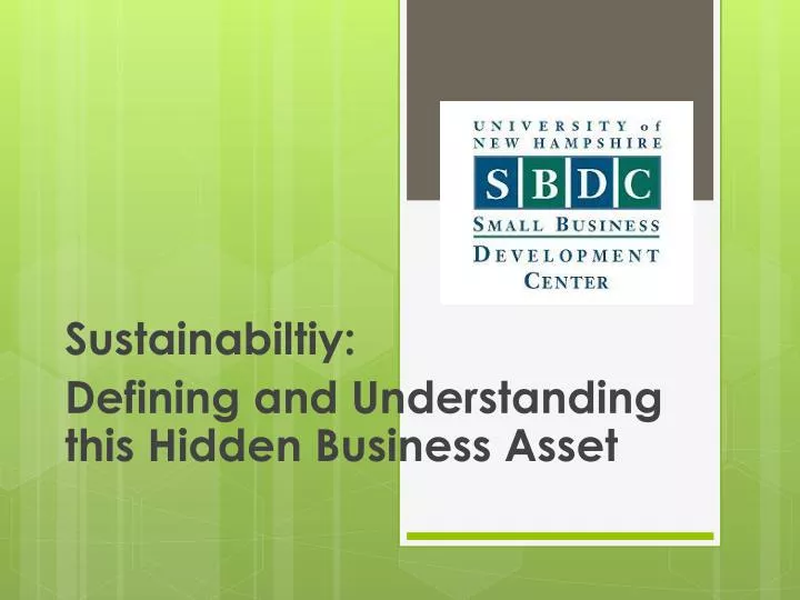 sustainabiltiy defining and understanding this hidden business asset