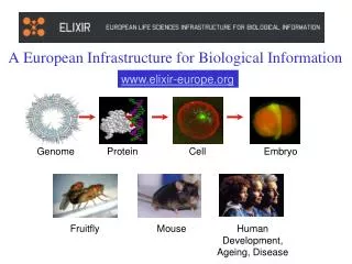 A European Infrastructure for Biological Information
