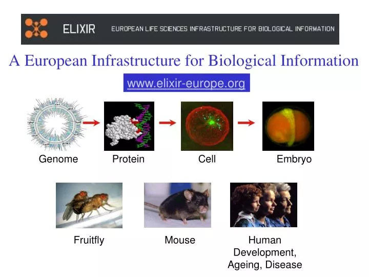 a european infrastructure for biological information