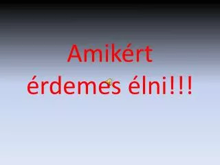amik rt rdemes lni