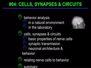 behavior analysis in a natural environment in the laboratory cells, synapses &amp; circuits